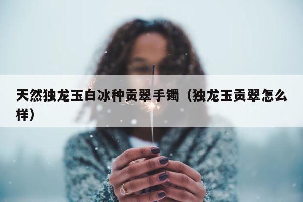 天然独龙玉白冰种贡翠手镯（独龙玉贡翠怎么样） 第1张