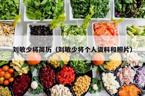 刘敏少将简历（刘敏少将个人资料和照片） 第1张