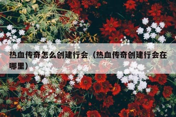 热血传奇怎么创建行会（热血传奇创建行会在哪里） 第1张