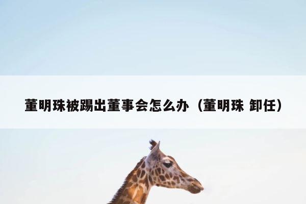 董明珠被踢出董事会怎么办（董明珠 卸任） 第1张