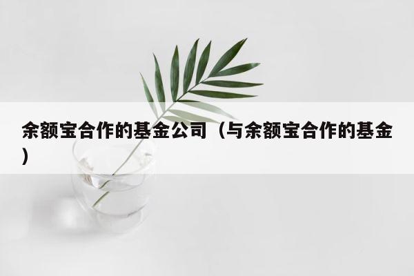 余额宝合作的基金公司（与余额宝合作的基金） 第1张