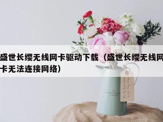 盛世长缨无线网卡驱动下载（盛世长缨无线网卡无法连接网络） 第1张