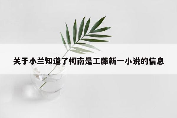 关于小兰知道了柯南是工藤新一小说的信息 第1张