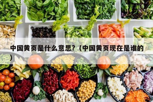 中国黄页是什么意思?（中国黄页现在是谁的） 第1张