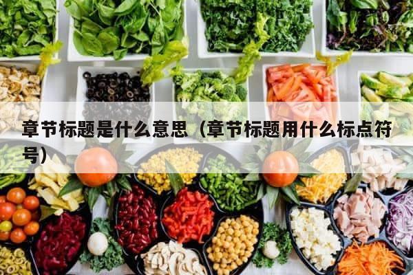 章节标题是什么意思（章节标题用什么标点符号） 第1张
