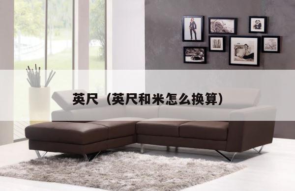 英尺（英尺和米怎么换算） 第1张
