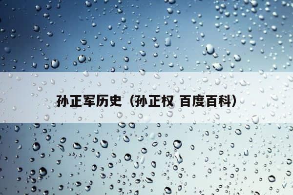 孙正军历史（孙正权 百度百科） 第1张