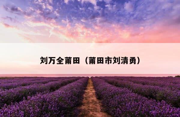 刘万全莆田（莆田市刘清勇） 第1张