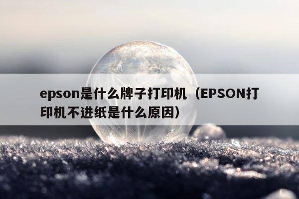 epson是什么牌子打印机（EPSON打印机不进纸是什么原因） 第1张
