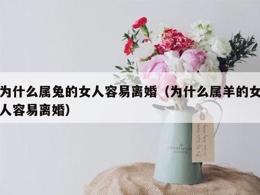 为什么属兔的女人容易离婚（为什么属羊的女人容易离婚） 第1张