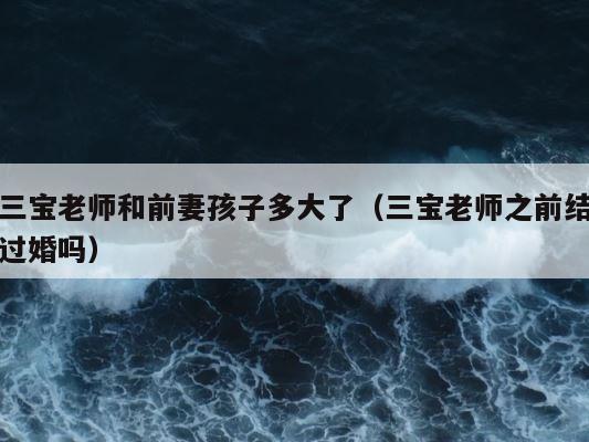 三宝老师和前妻孩子多大了（三宝老师之前结过婚吗） 第1张