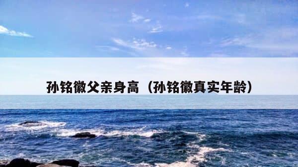 孙铭徽父亲身高（孙铭徽真实年龄） 第1张
