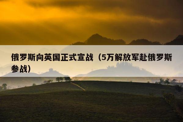 俄罗斯向英国正式宣战（5万解放军赴俄罗斯参战） 第1张