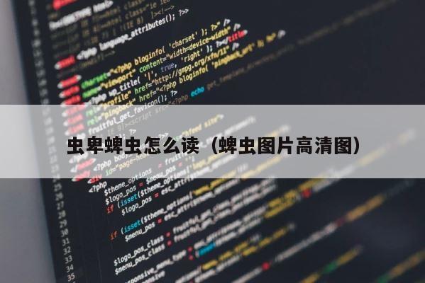 虫卑蜱虫怎么读（蜱虫图片高清图） 第1张