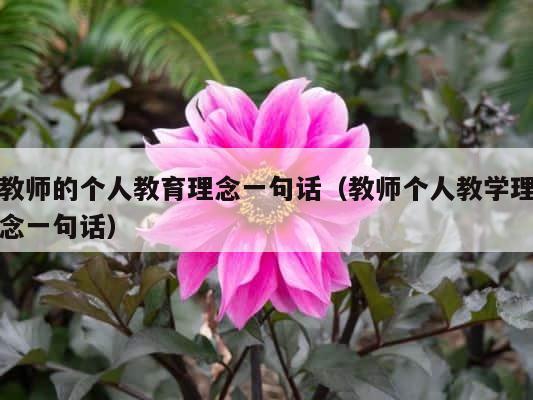 教师的个人教育理念一句话（教师个人教学理念一句话） 第1张