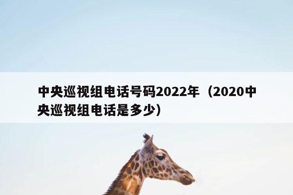 中央巡视组电话号码2022年（2020中央巡视组电话是多少） 第1张