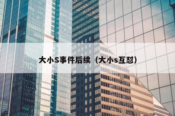 大小S事件后续（大小s互怼） 第1张