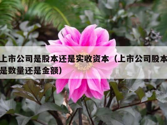 上市公司是股本还是实收资本（上市公司股本是数量还是金额） 第1张