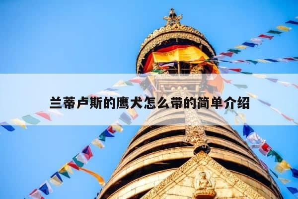 兰蒂卢斯的鹰犬怎么带的简单介绍 第1张