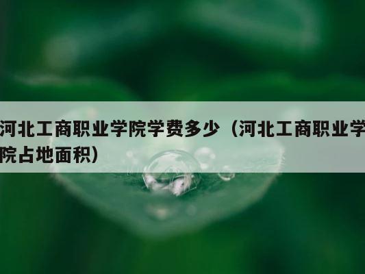 河北工商职业学院学费多少（河北工商职业学院占地面积） 第1张
