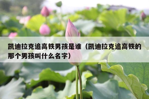 凯迪拉克追高铁男孩是谁（凯迪拉克追高铁的那个男孩叫什么名字） 第1张