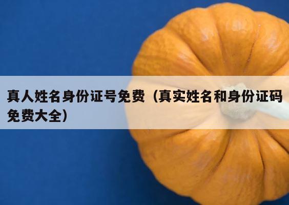 真人姓名身份证号免费（真实姓名和身份证码免费大全） 第1张