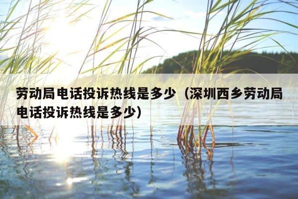 劳动局电话投诉热线是多少（深圳西乡劳动局电话投诉热线是多少） 第1张
