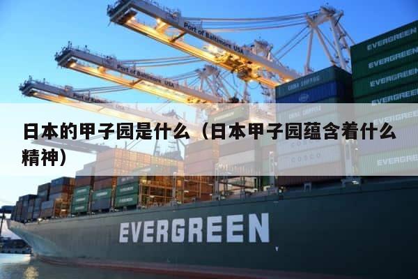 日本的甲子园是什么（日本甲子园蕴含着什么精神） 第1张