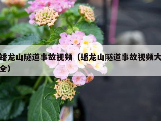 蟠龙山隧道事故视频（蟠龙山隧道事故视频大全） 第1张