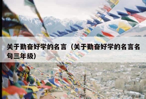 关于勤奋好学的名言（关于勤奋好学的名言名句三年级） 第1张