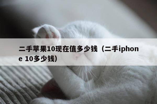 二手苹果10现在值多少钱（二手iphone 10多少钱） 第1张