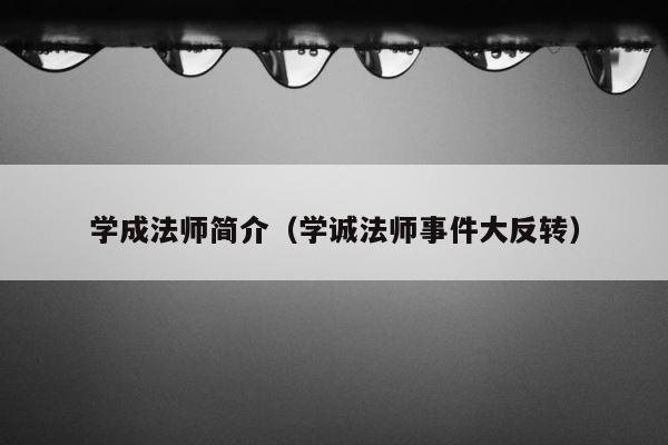 学成法师简介（学诚法师事件大反转） 第1张