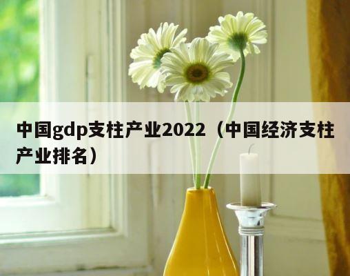 中国gdp支柱产业2022（中国经济支柱产业排名） 第1张
