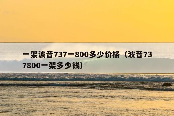 一架波音737一800多少价格（波音737800一架多少钱） 第1张