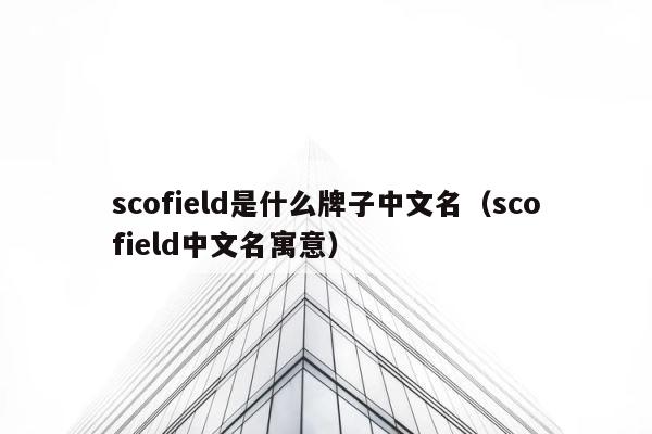 scofield是什么牌子中文名（scofield中文名寓意） 第1张
