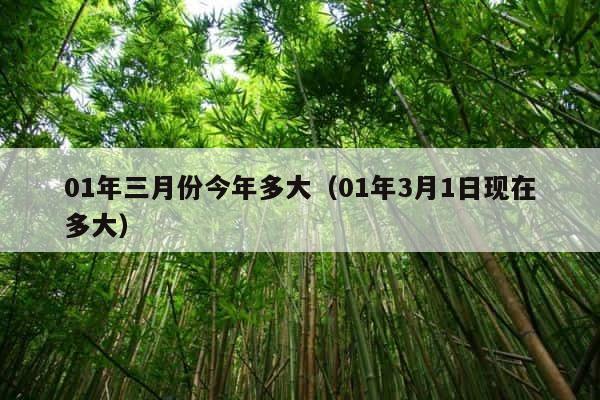01年三月份今年多大（01年3月1日现在多大） 第1张