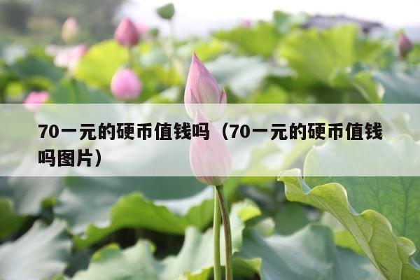70一元的硬币值钱吗（70一元的硬币值钱吗图片） 第1张
