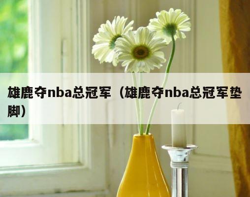 雄鹿夺nba总冠军（雄鹿夺nba总冠军垫脚） 第1张