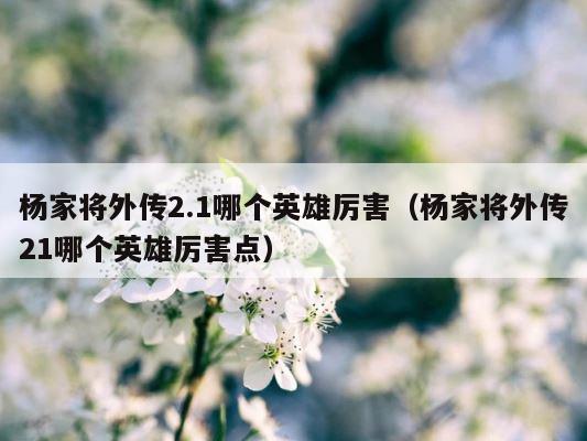 杨家将外传2.1哪个英雄厉害（杨家将外传21哪个英雄厉害点） 第1张