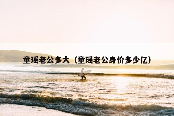 童瑶老公多大（童瑶老公身价多少亿） 第1张