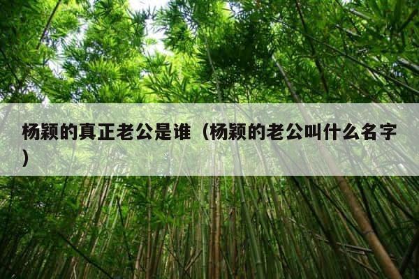 杨颖的真正老公是谁（杨颖的老公叫什么名字） 第1张