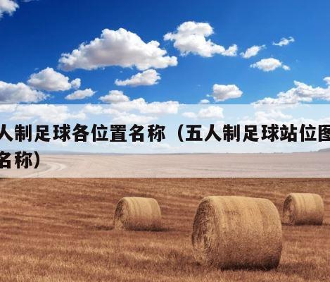 五人制足球各位置名称（五人制足球站位图解及名称） 第1张
