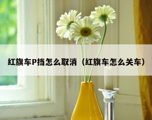 红旗车P挡怎么取消（红旗车怎么关车） 第1张
