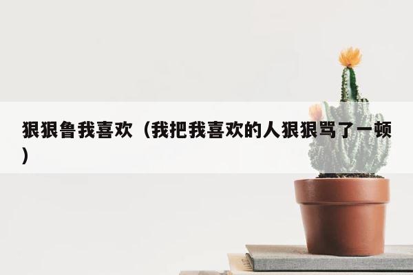 狠狠鲁我喜欢（我把我喜欢的人狠狠骂了一顿） 第1张
