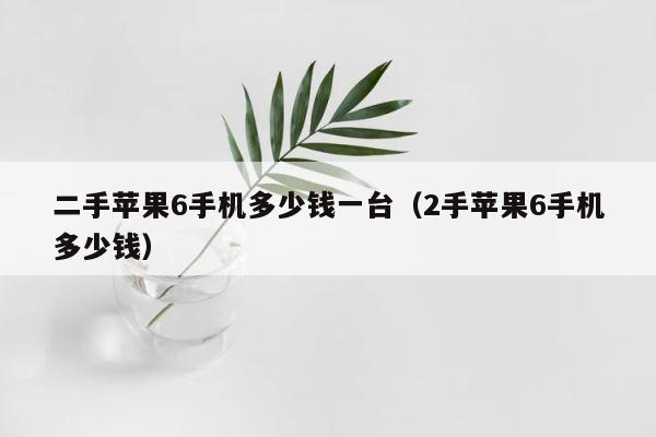 二手苹果6手机多少钱一台（2手苹果6手机多少钱） 第1张
