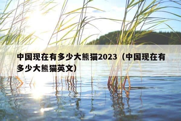 中国现在有多少大熊猫2023（中国现在有多少大熊猫英文） 第1张