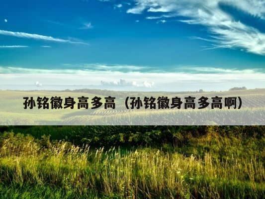 孙铭徽身高多高（孙铭徽身高多高啊） 第1张