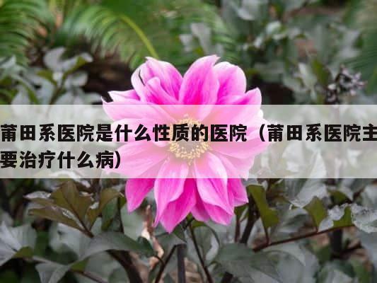 莆田系医院是什么性质的医院（莆田系医院主要治疗什么病） 第1张