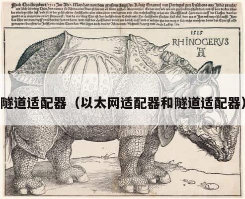 隧道适配器（以太网适配器和隧道适配器） 第1张