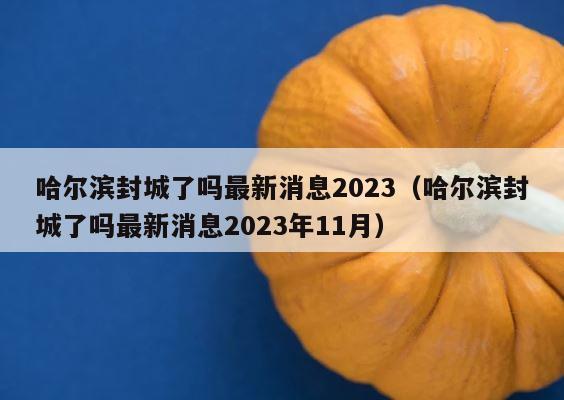哈尔滨封城了吗最新消息2023（哈尔滨封城了吗最新消息2023年11月） 第1张